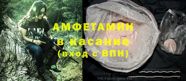 гидра Гусь-Хрустальный