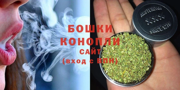 соль ск Гусев