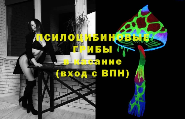 мдпв Горнозаводск