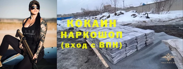 гидра Гусь-Хрустальный