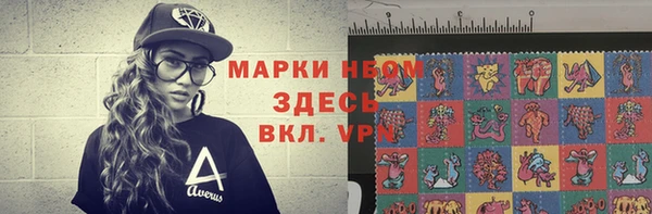 соль ск Гусев