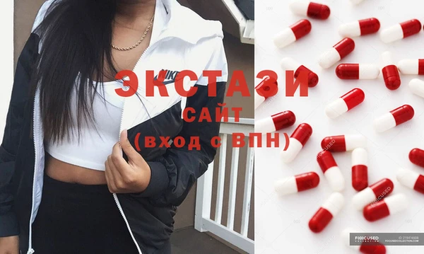 гидра Гусь-Хрустальный