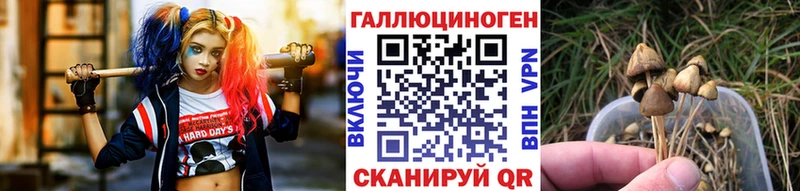 Купить закладки  Оса  Галлюциногенные грибы прущие грибы 