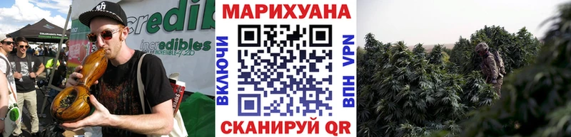 Бошки марихуана OG Kush  Купить  Оса 